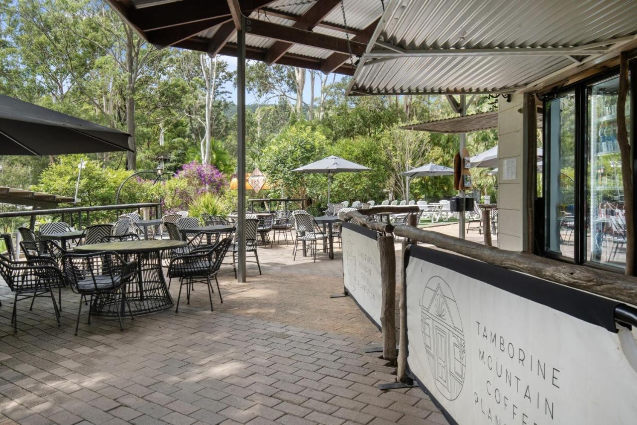 Cedar Creek alojamientos Gold Coast Exterior foto